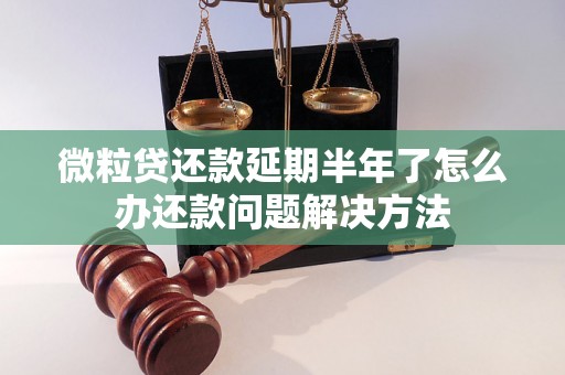 微粒贷还款延期半年了怎么办还款问题解决方法