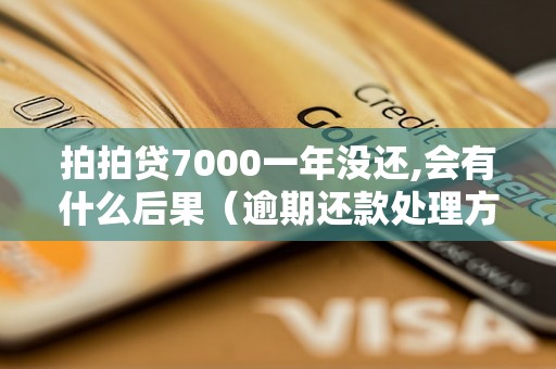 拍拍贷7000一年没还,会有什么后果（逾期还款处理方式详解）