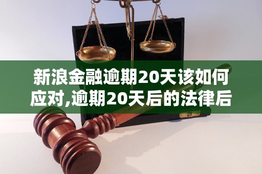 新浪金融逾期20天该如何应对,逾期20天后的法律后果