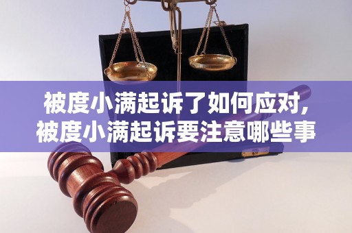 被度小满起诉了如何应对,被度小满起诉要注意哪些事项