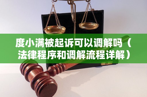 度小满被起诉可以调解吗（法律程序和调解流程详解）