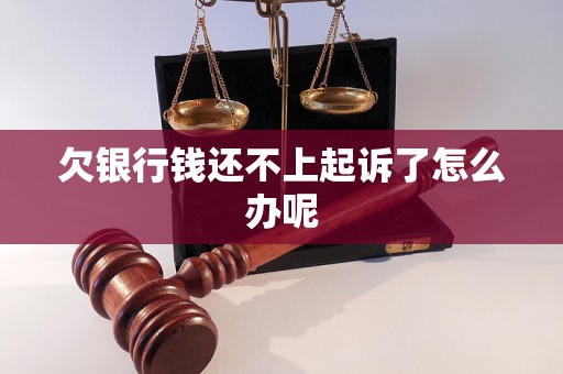 欠银行钱还不上起诉了怎么办呢