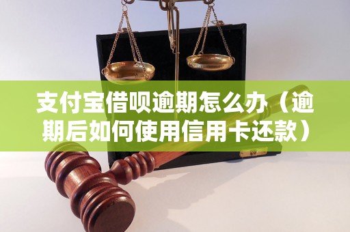 支付宝借呗逾期怎么办（逾期后如何使用信用卡还款）