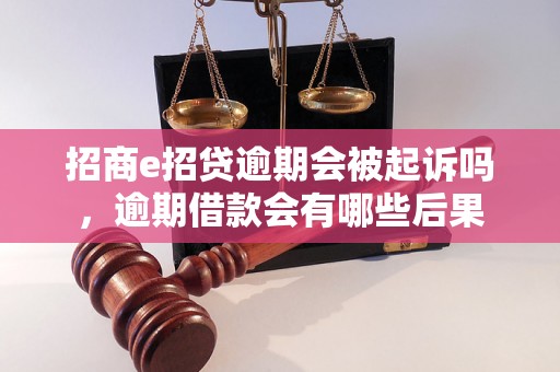 招商e招贷逾期会被起诉吗，逾期借款会有哪些后果