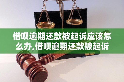 借呗逾期还款被起诉应该怎么办,借呗逾期还款被起诉的后果