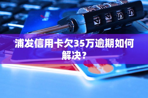 浦发信用卡欠35万逾期如何解决？