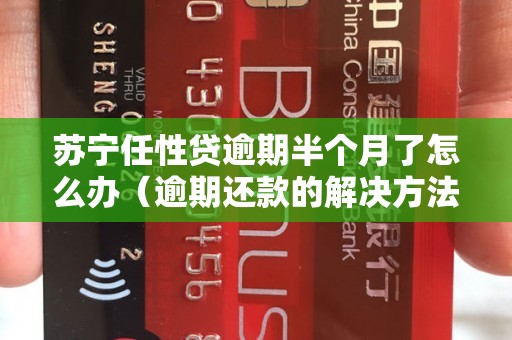 苏宁任性贷逾期半个月了怎么办（逾期还款的解决方法）