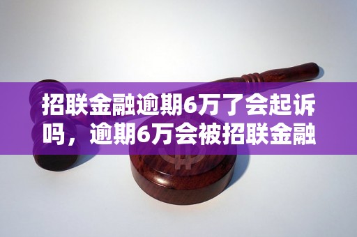 招联金融逾期6万了会起诉吗，逾期6万会被招联金融起诉吗