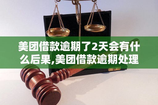 美团借款逾期了2天会有什么后果,美团借款逾期处理措施