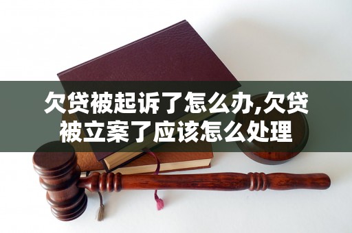 欠贷被起诉了怎么办,欠贷被立案了应该怎么处理