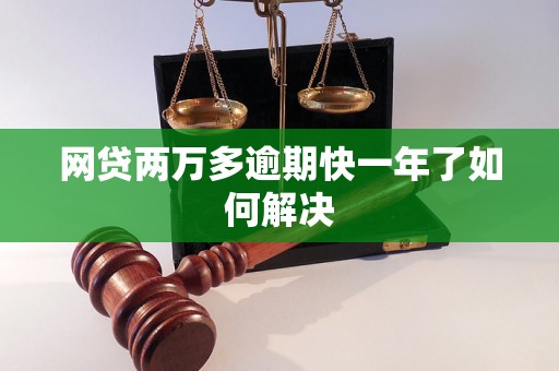 网贷两万多逾期快一年了如何解决