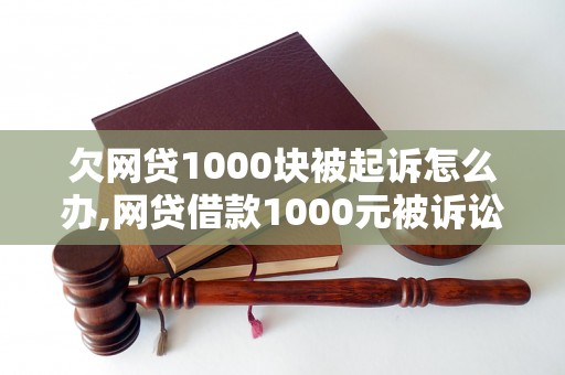 欠网贷1000块被起诉怎么办,网贷借款1000元被诉讼应该怎么处理