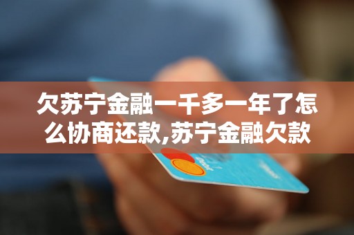 欠苏宁金融一千多一年了怎么协商还款,苏宁金融欠款协商流程指南