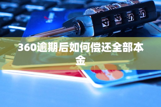 360逾期后如何偿还全部本金