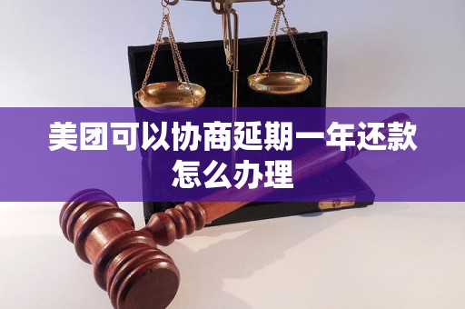 美团可以协商延期一年还款怎么办理