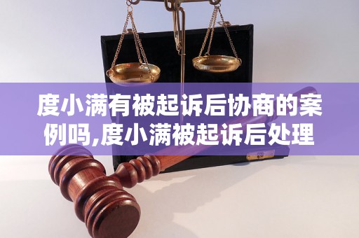 度小满有被起诉后协商的案例吗,度小满被起诉后处理方式