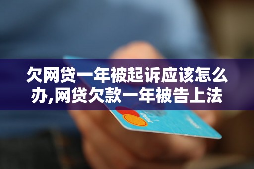 欠网贷一年被起诉应该怎么办,网贷欠款一年被告上法庭怎么辩护