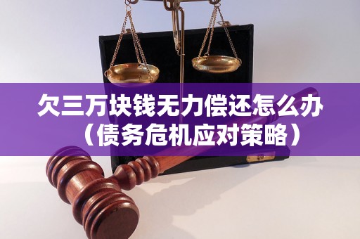 欠三万块钱无力偿还怎么办（债务危机应对策略）