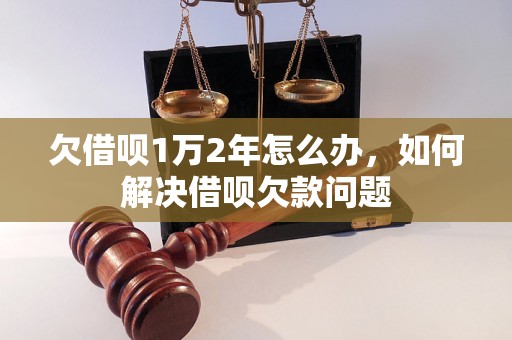 欠借呗1万2年怎么办，如何解决借呗欠款问题