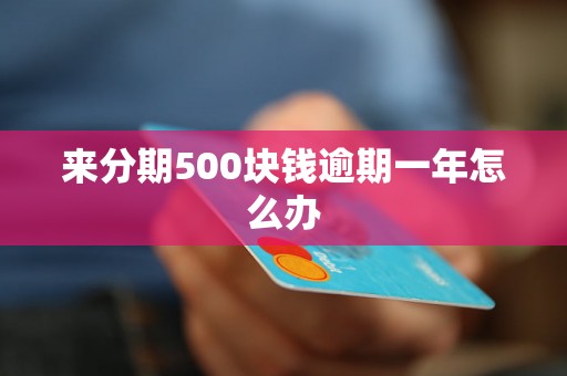 来分期500块钱逾期一年怎么办