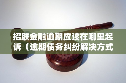 招联金融逾期应该在哪里起诉（逾期债务纠纷解决方式）