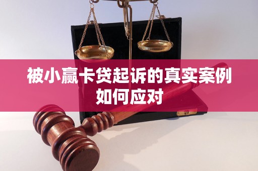 被小赢卡贷起诉的真实案例如何应对