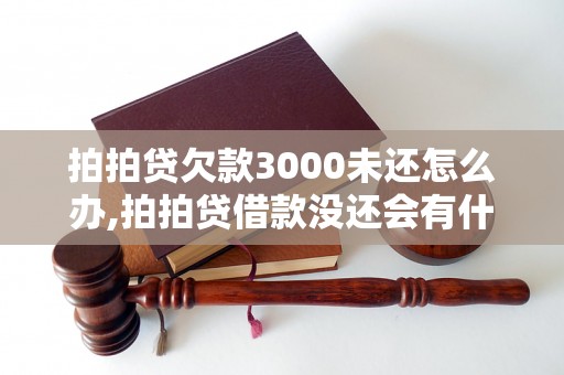 拍拍贷欠款3000未还怎么办,拍拍贷借款没还会有什么后果