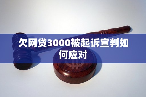 欠网贷3000被起诉宣判如何应对