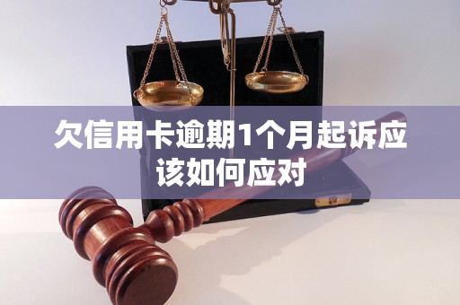 欠信用卡逾期1个月起诉应该如何应对