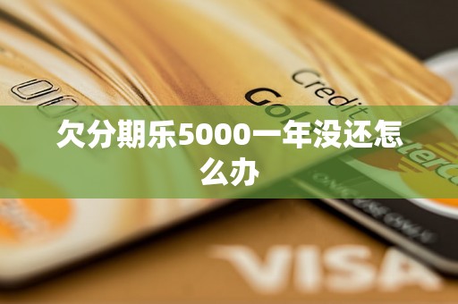 欠分期乐5000一年没还怎么办