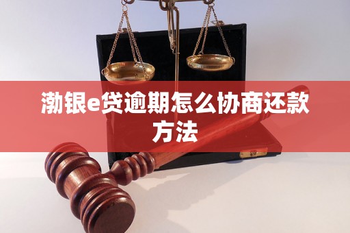 渤银e贷逾期怎么协商还款方法