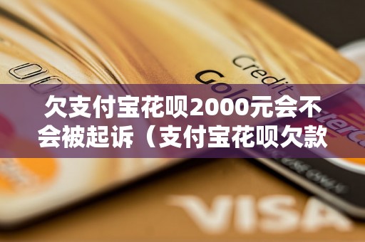 欠支付宝花呗2000元会不会被起诉（支付宝花呗欠款处理方式介绍）