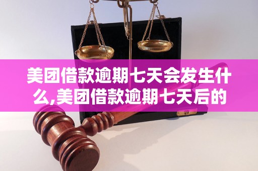 美团借款逾期七天会发生什么,美团借款逾期七天后的处罚措施