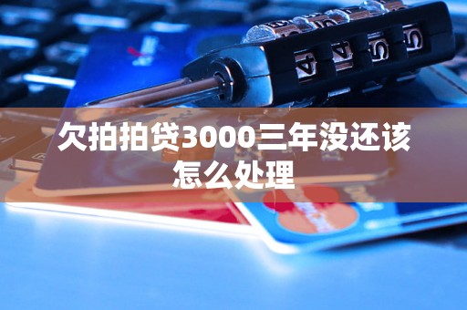 欠拍拍贷3000三年没还该怎么处理