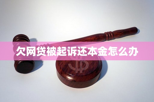 欠网贷被起诉还本金怎么办