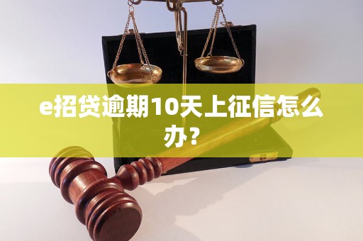 e招贷逾期10天上征信怎么办？