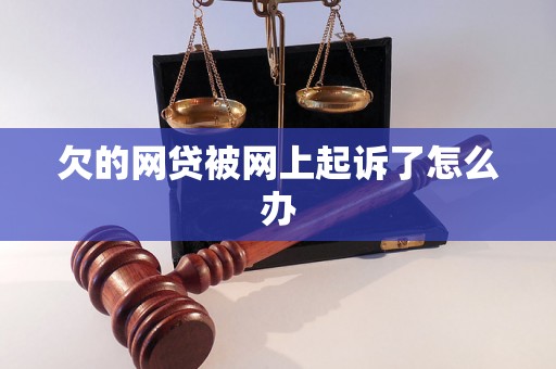 欠的网贷被网上起诉了怎么办