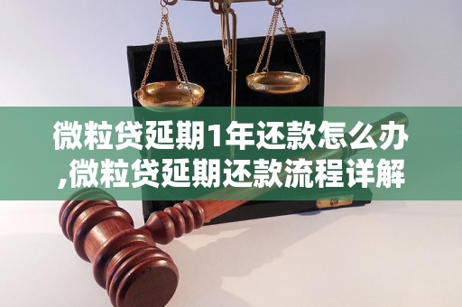 微粒贷延期1年还款怎么办,微粒贷延期还款流程详解