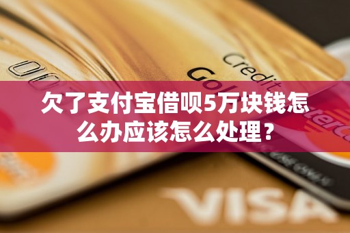 欠了支付宝借呗5万块钱怎么办应该怎么处理？