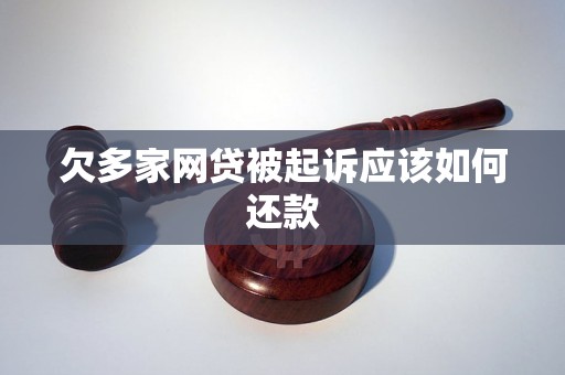 欠多家网贷被起诉应该如何还款