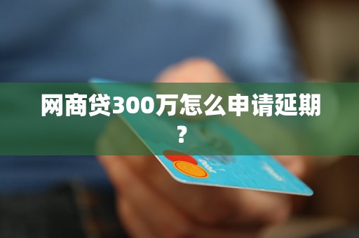 网商贷300万怎么申请延期？