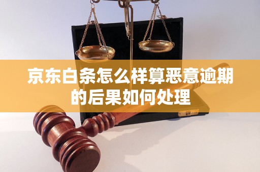 京东白条怎么样算恶意逾期的后果如何处理