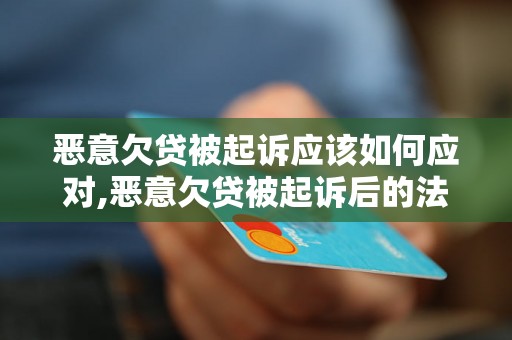 恶意欠贷被起诉应该如何应对,恶意欠贷被起诉后的法律风险及处理方法