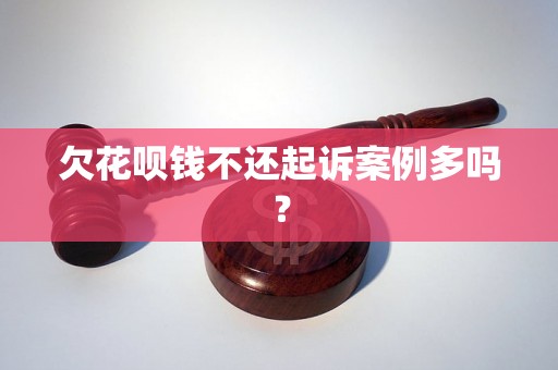 欠花呗钱不还起诉案例多吗？