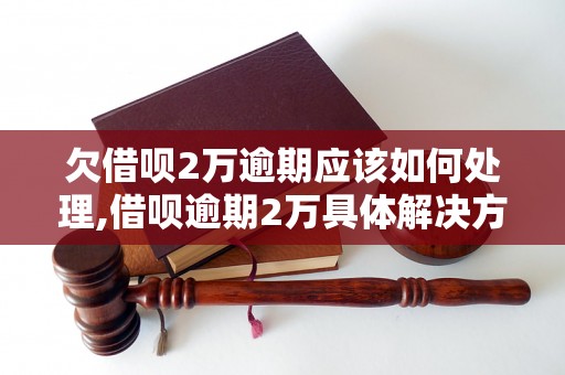 欠借呗2万逾期应该如何处理,借呗逾期2万具体解决方法