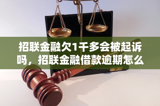 招联金融欠1千多会被起诉吗，招联金融借款逾期怎么处理