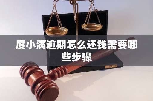 度小满逾期怎么还钱需要哪些步骤