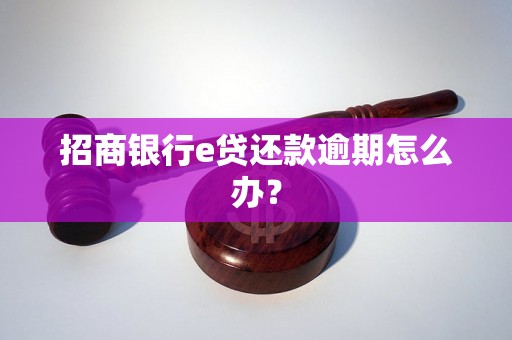 招商银行e贷还款逾期怎么办？