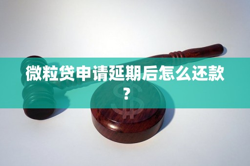 微粒贷申请延期后怎么还款？