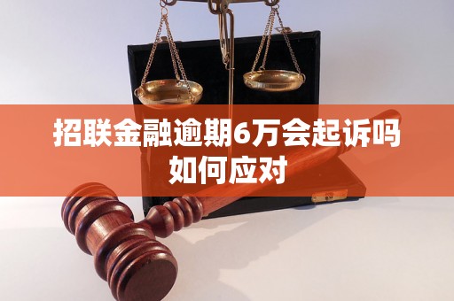 招联金融逾期6万会起诉吗如何应对